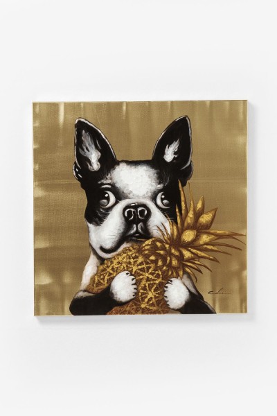 Bild Touched Dog with Pineapple 80x80c