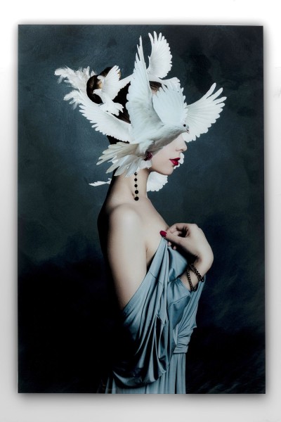 Glasbild Mother of Doves 80x120cm