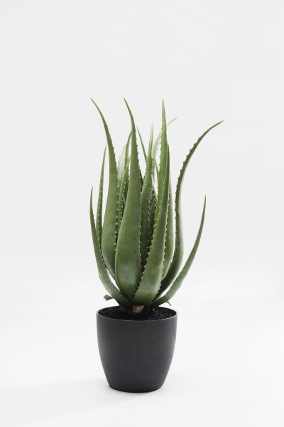 Deko Pflanze Aloe 69cm