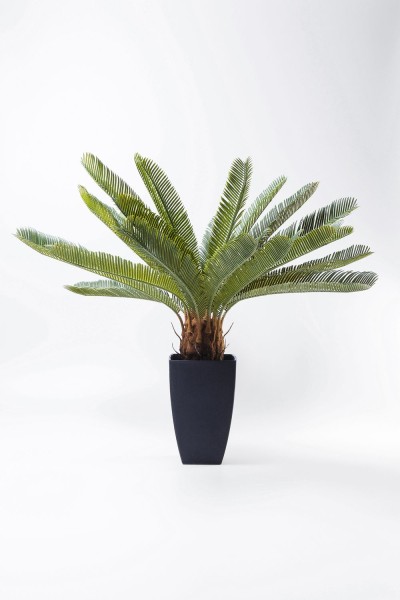 Deko Pflanze Cycas Tree 78cm