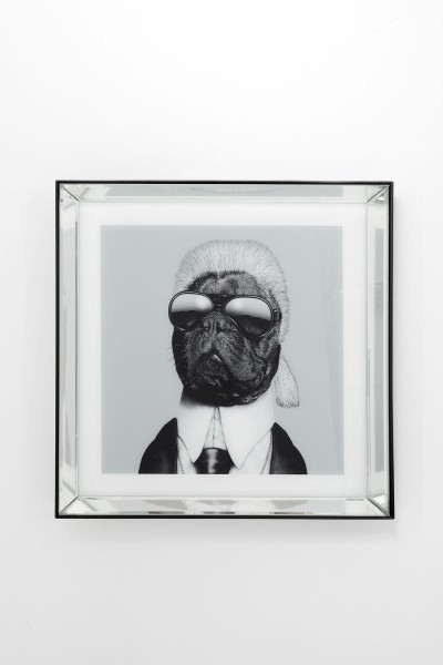 Bild Frame Mirror Designer Dog 60x60cm